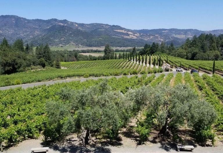 Day Trip to Calistoga in the Northern Napa Valley