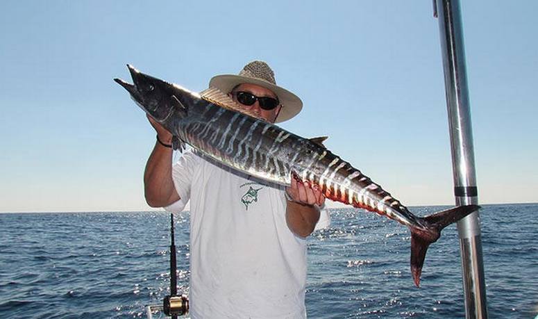 Surf Fishing Southern Ca