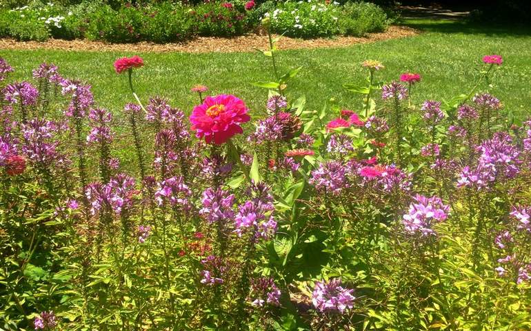 Descanso Gardens Day Trip La Canada Flintridge