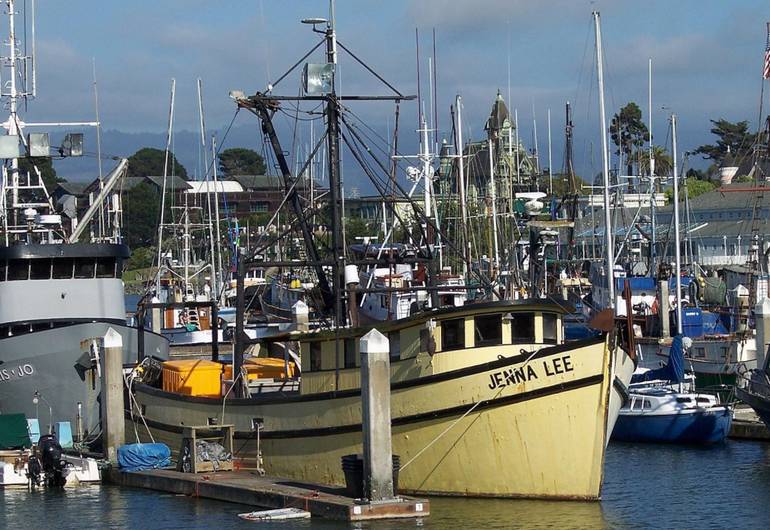 Humboldt Bay California North Coast