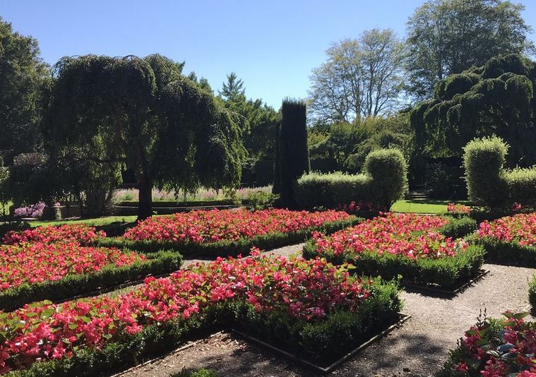 Spring Time at Filoli Estate 