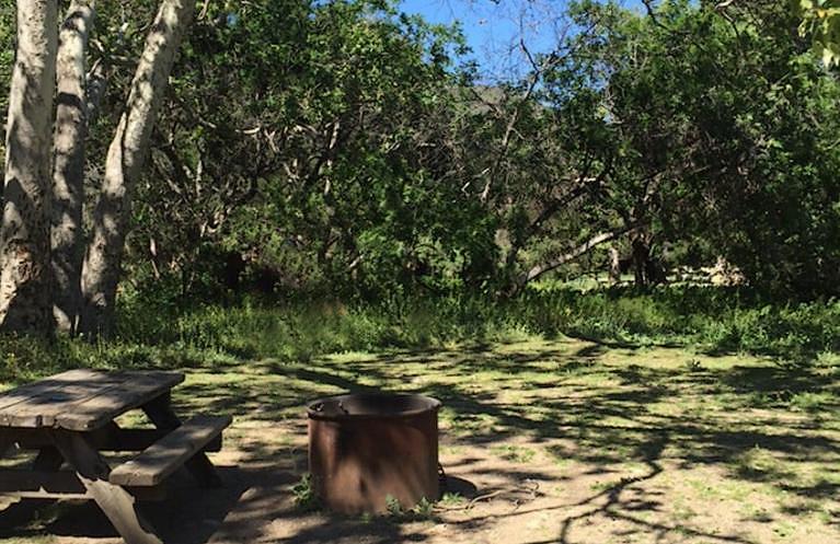 Leo Carrillo State Park Campsite