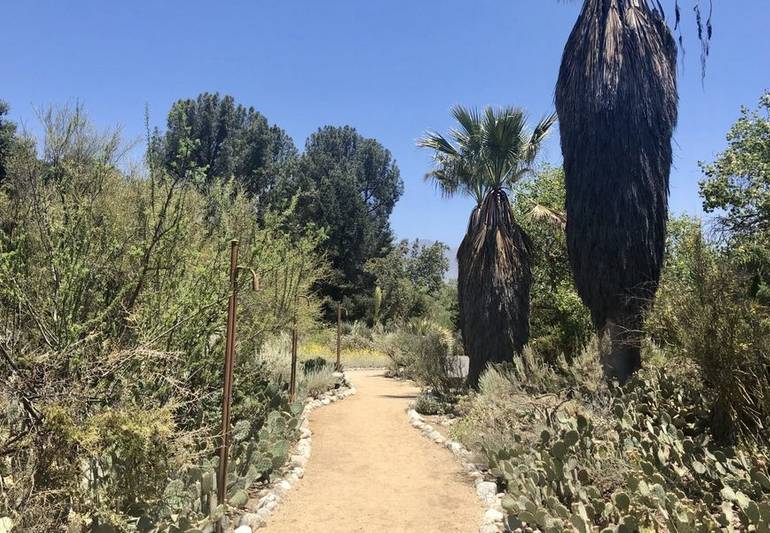 Rancho Santa Ana Botanic Garden Day Trip