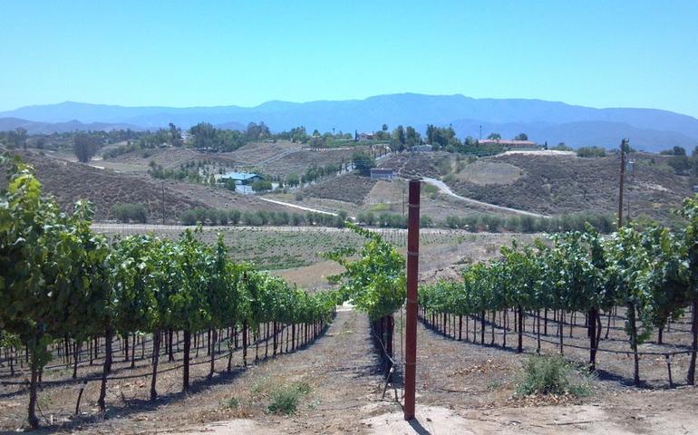 Temecula Valley Wine Country California