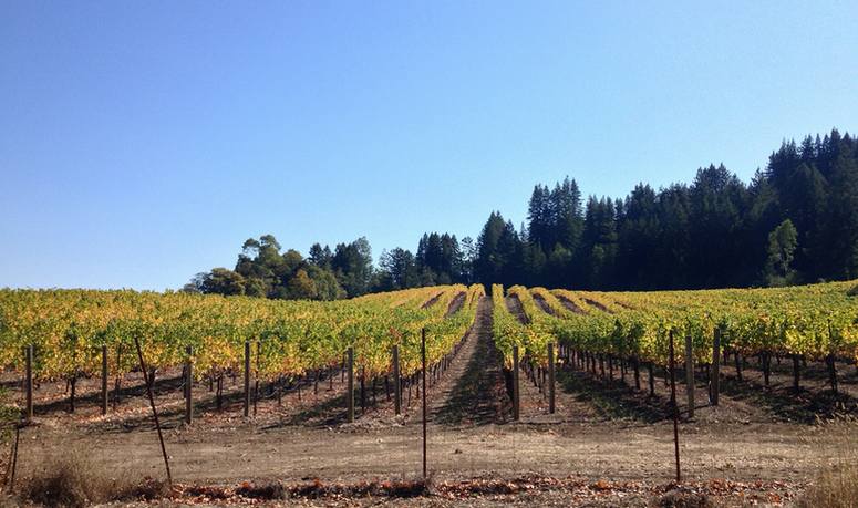 Voyage d'une journée à Glen Ellen San Francisco