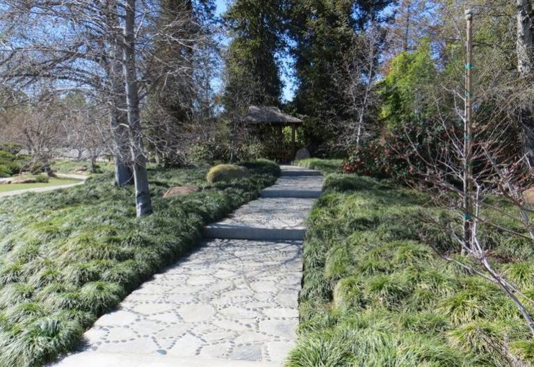 Day Trip: Discover the Hidden Gem Japanese Garden in Van Nuys