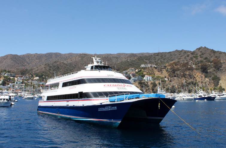 Catalina Island Day Trip