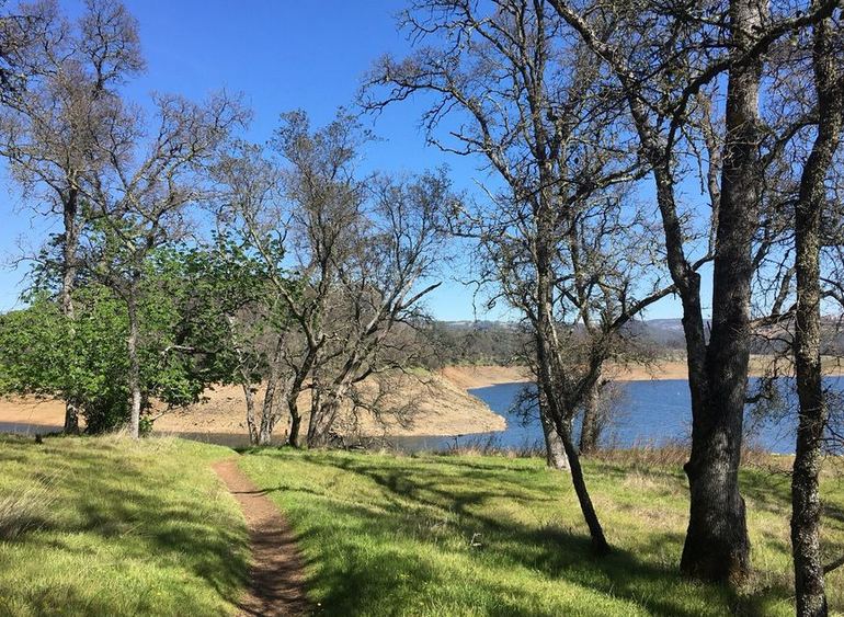 are dogs allowed at folsom lake