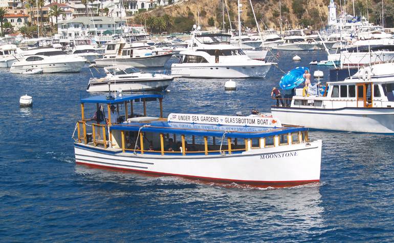 Catalina Island Day Trip