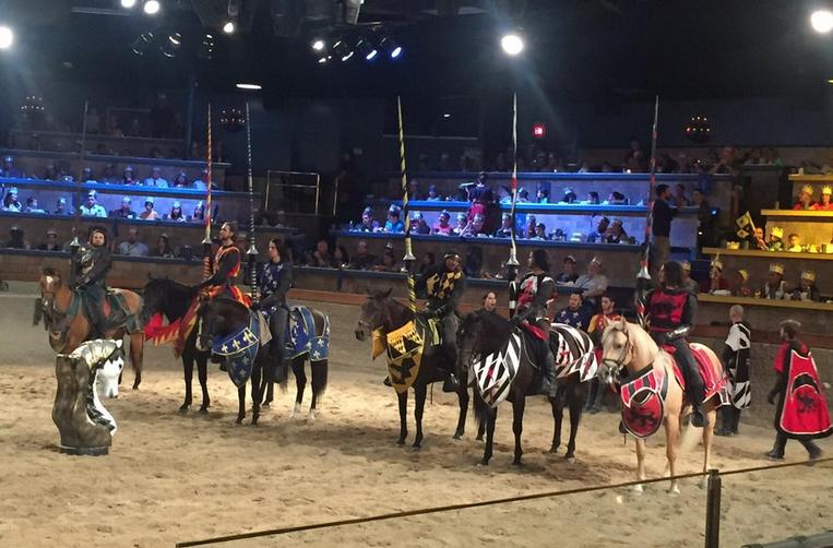 Medieval Times Dinner Show