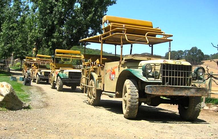 Safari West Wildlife Tours