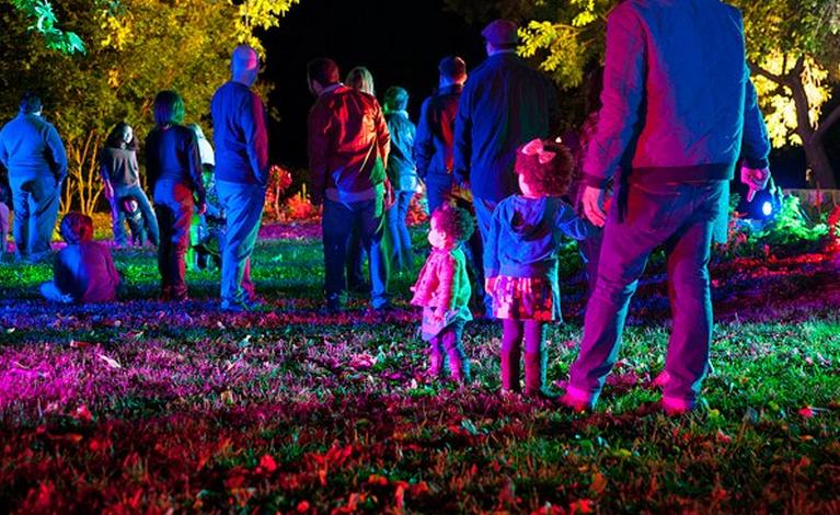 Enchanted Forest of Light at Descanso Gardens