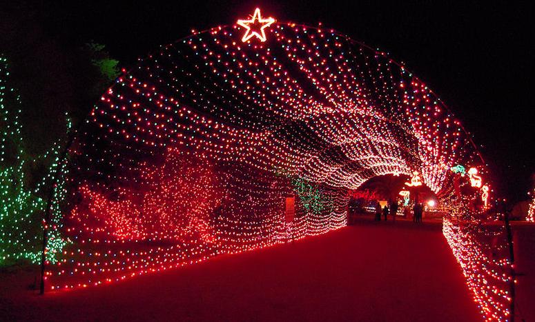 Wild Lights, Living Desert Palm Desert - Holiday Events