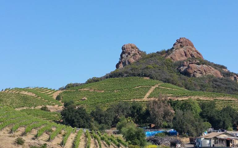 Santa Monica Mountain Wineries