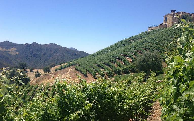 Santa Monica Mountain Wineries