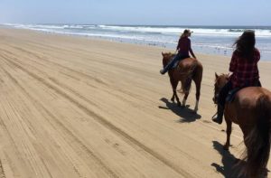 Oceano Dunes Beach Camping Reservations Pismo Beach