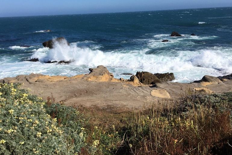 Salt Point State Park Sonoma County