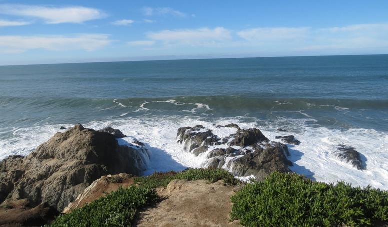 Sonoma Coast State Park