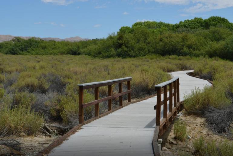 Morongo Canyon Main Trail