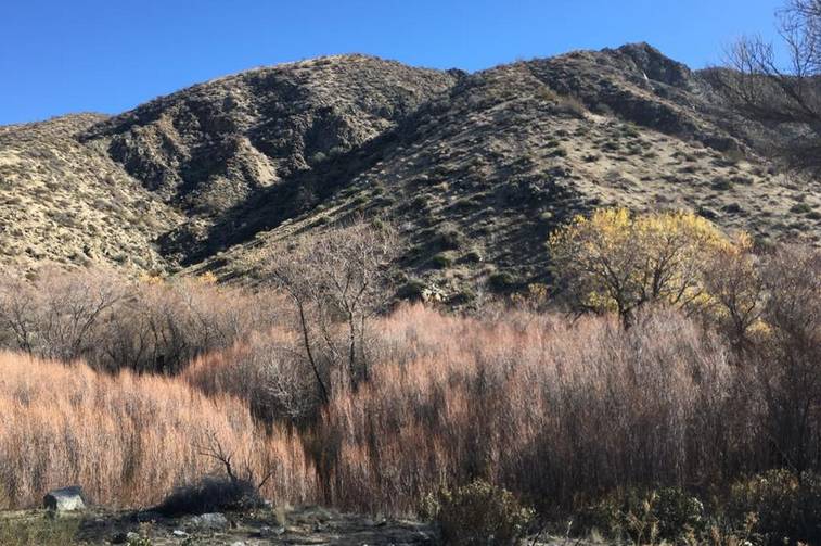 Morongo Canyon Upper Elevations