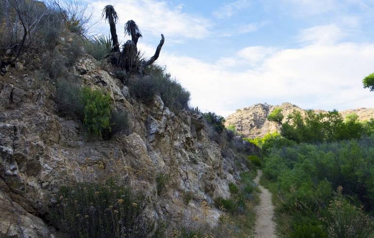 Yucca Ridge Trail