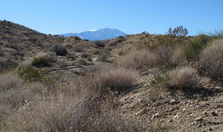  Morongo Canyon Preserve