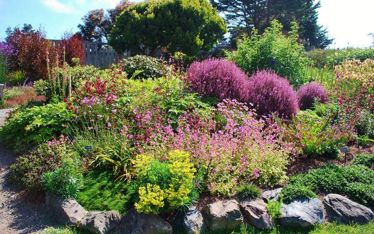 Amador Flower Farm