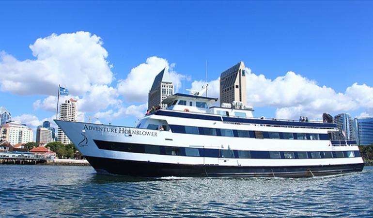 Whale Watching San Diego Hornblower