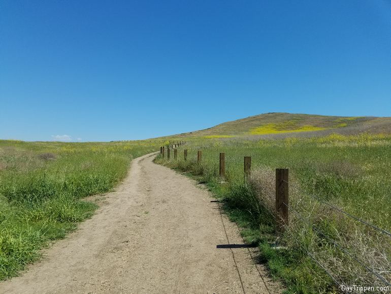 Quail Hill Trail Irvine California