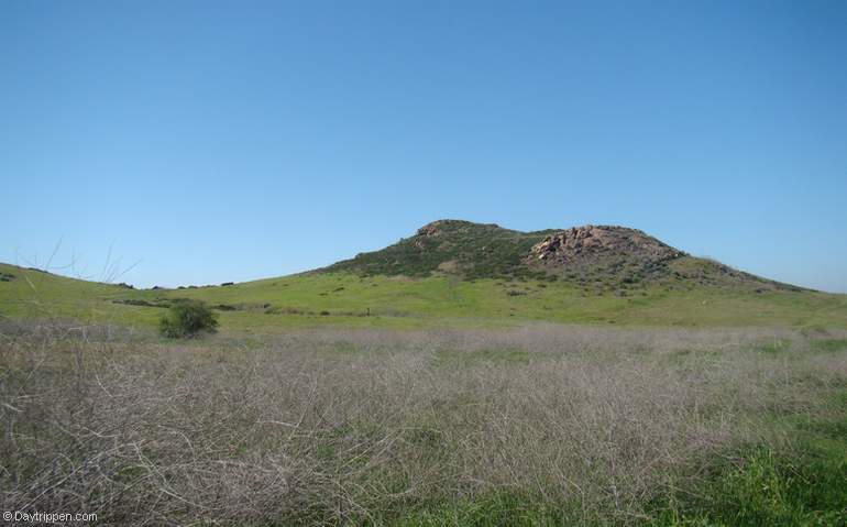 quail hill