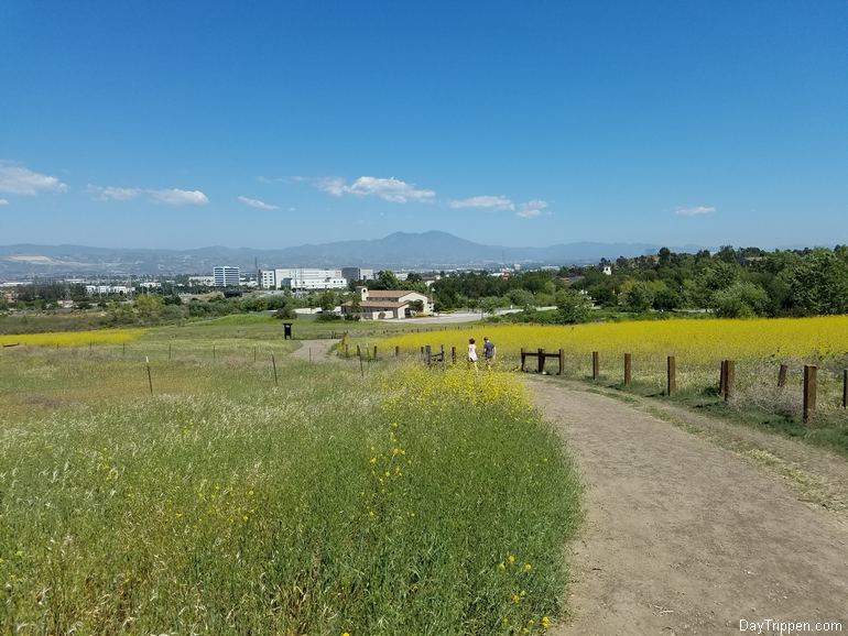 View South toward Shady Canyon Road