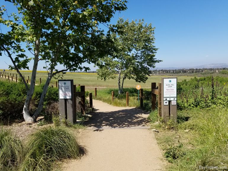 Quail Hill Trail Map Quail Hill Loop Trail Family Day Trip Trail Irvine Ca