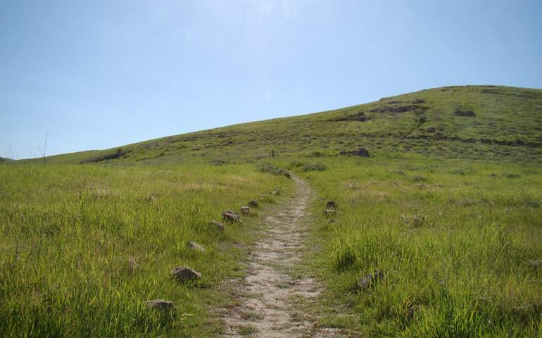 quail hill