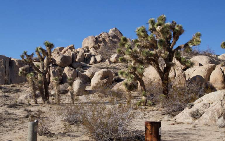 Antelope Valley Indian Museum Self-Guided Nature Trail