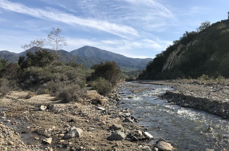 Trabuco Creek in the Spring