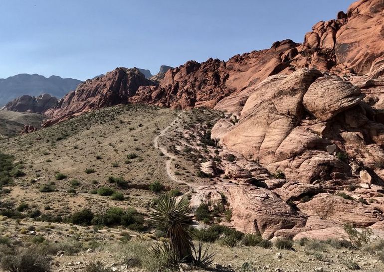 Red Rock Canyon Hiking Trails