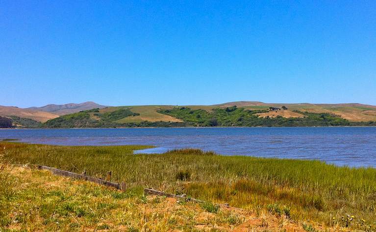 Excursión de un día a la Bahía de Tomales en San Francisco