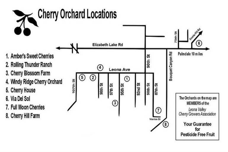 Leona Valley Cherry Orchard Map