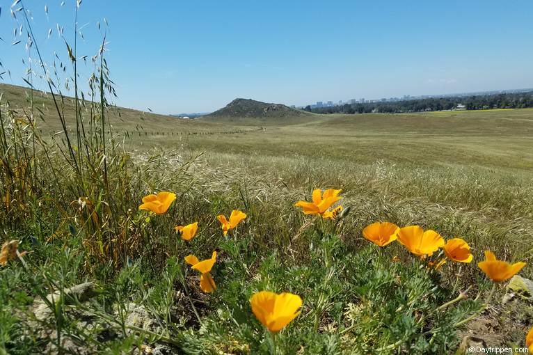 Quail Hill Loop Trail