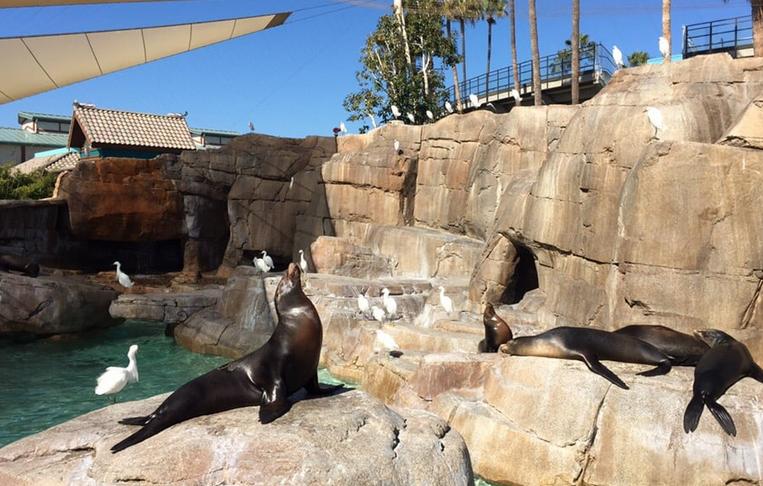 SeaWorld San Diego