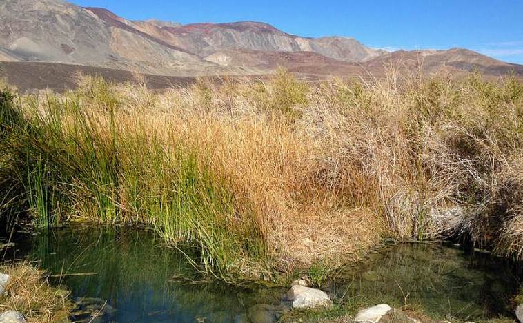 Saline Valley Hot Springs Upper Pool