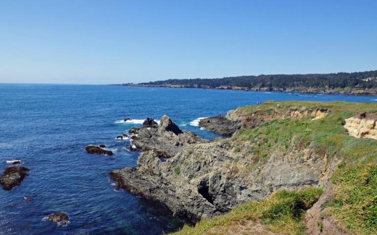 Explore Bryan Preserve In Mendocino For Its Unmatched Wildlife