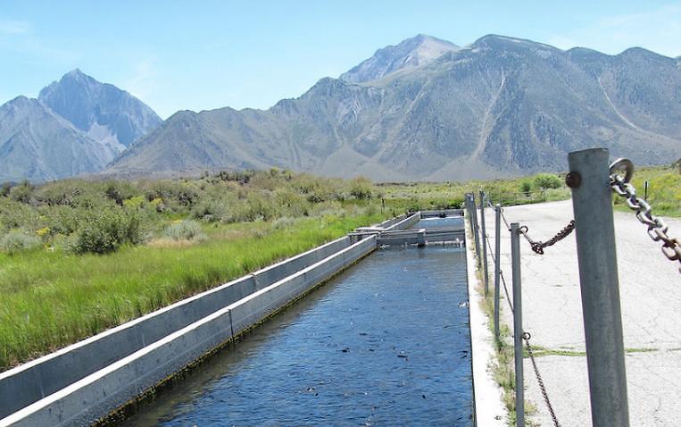 Hot Creek Fish Hatchery