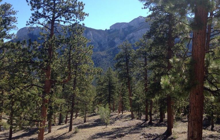 Mount Charleston Kyle Canyon