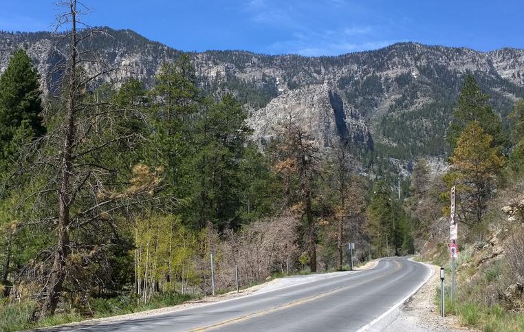 Mount Charleston Nevada Day Trip