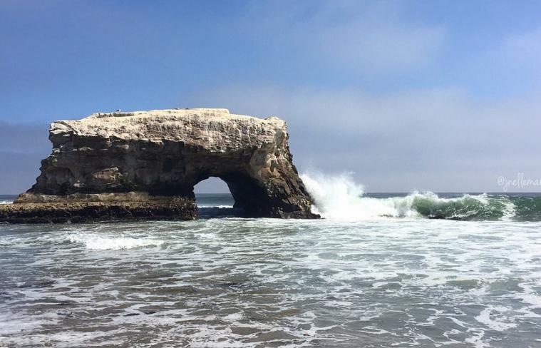 Gita di un giorno a Natural Bridges State Beach San Francisco