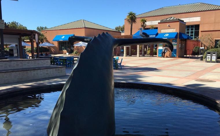 Birch Aquarium La Jolla