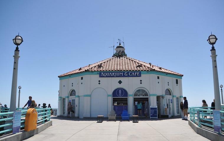 Roundhouse Aquarium Manhattan Beach Pier