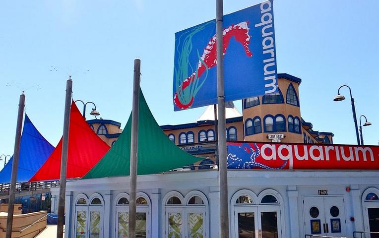 Santa Monica Pier Aquarium