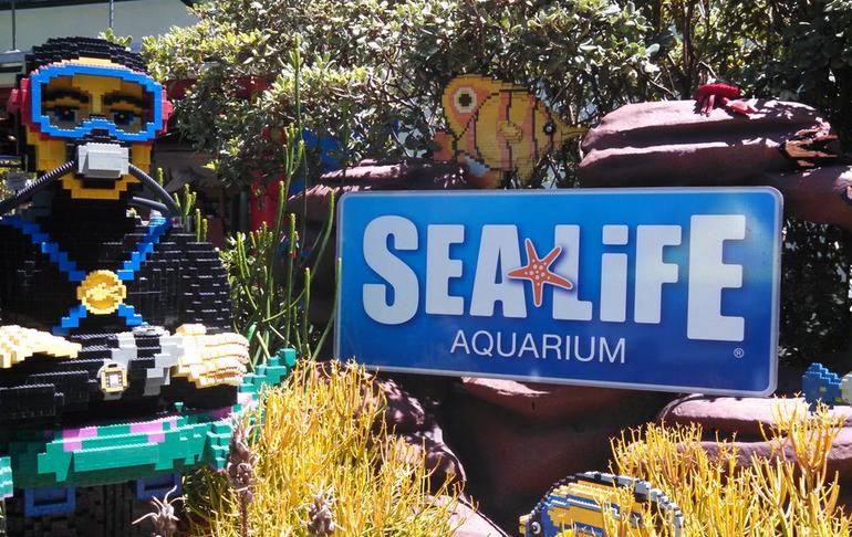 Legoland SeaLife Aquarium